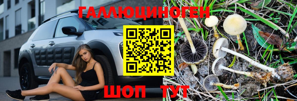Галлюциногенные грибы Magic Shrooms Заинск
